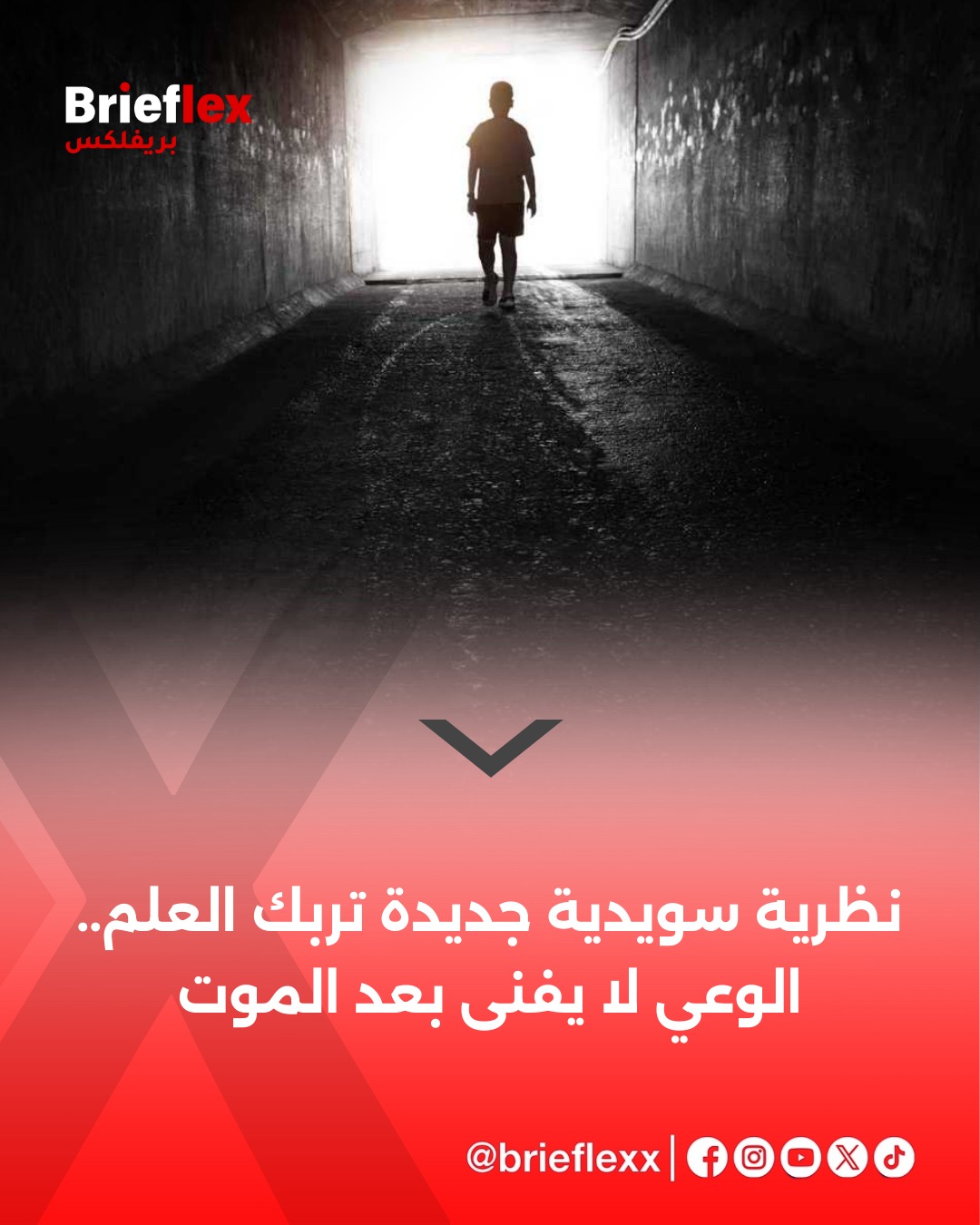 مقال فلسفة التشخيص والتجريد للدكتور هاشم نصار